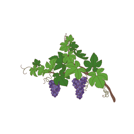 Uvas de mesa